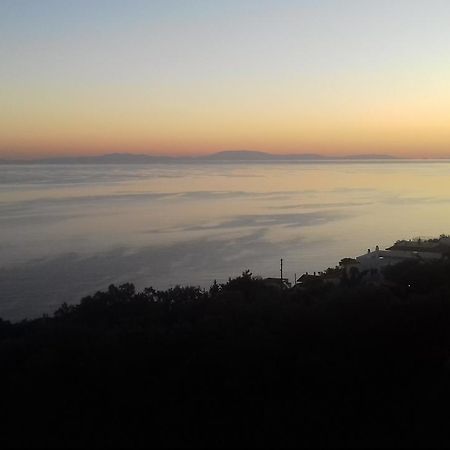 Hotel Perigiali Layrio Agia Marina Mikrolimanou Exteriér fotografie